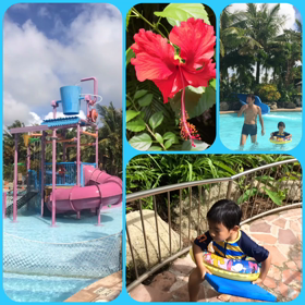 スライダーの画像