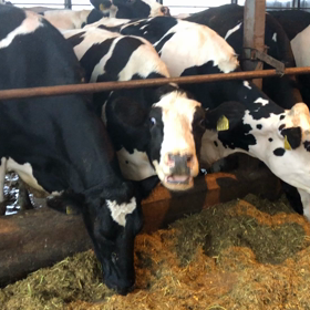 上春別の酪農牧場より。の画像