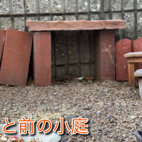 ハトヤマタロウ観察日記+タロウのひとりごと(？)の画像