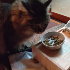 おなか空いたねの画像