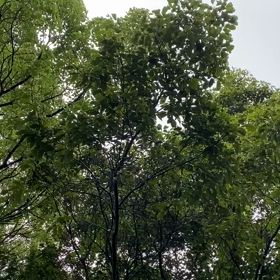 “自然と音遊び” プロジェクト vol.029！の画像