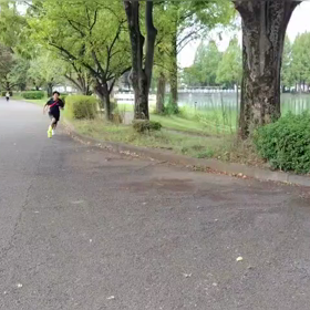 齊藤隆悟くん快走の画像