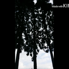 English Interview①の画像