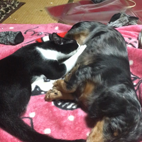 いつになったら〜の画像