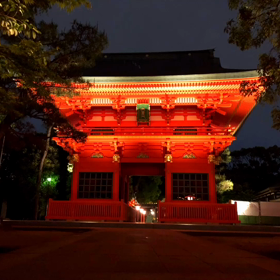 お散歩　の画像