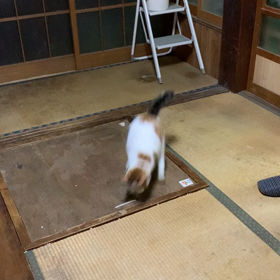 復活しますの画像