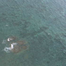 体感型動画の画像