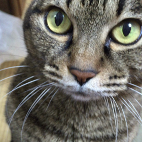 一緒に化粧するの画像