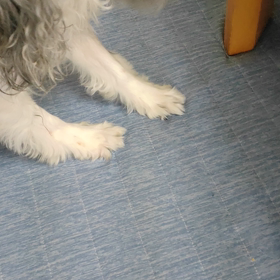 突然の出来事の画像