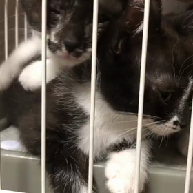 受け入れ準備と打ち合わせの画像