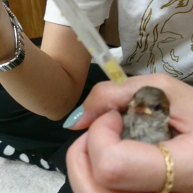 麦動画 保護12日目 part1の画像