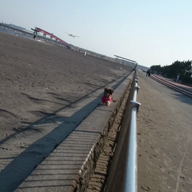 れもんの様子の画像