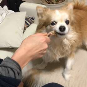 息子抜きのクリスマスの画像