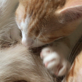 これは！の画像