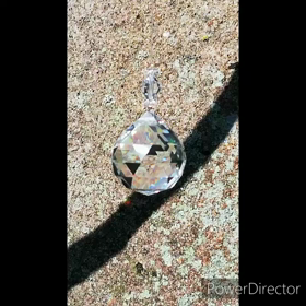 ひぐらしの画像