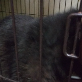 発症しているのか？それとも。の画像