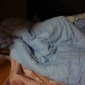 眠りが浅い時の画像