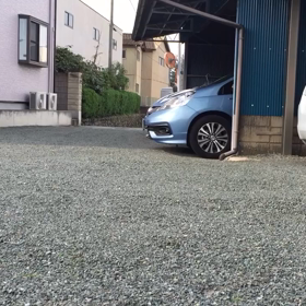 ワシミミズクのフライトの画像