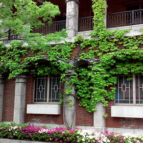 今日はコロッケの日。神戸9の画像