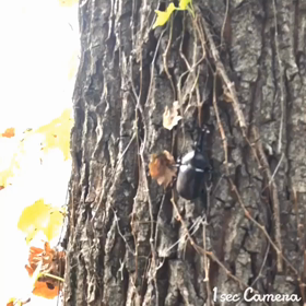 スタッフの夏休みの画像