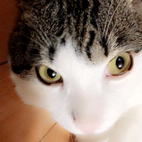 空の動画です。の画像