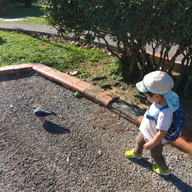 日向ぼっこ。の画像