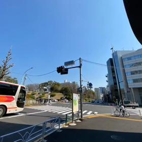 Shima散歩Tokyo渋谷〜青山通り表参道〜原宿ver.1の画像