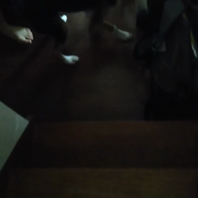 つん、おはようって言った？！の画像