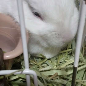 ☆うとうと…☆の画像