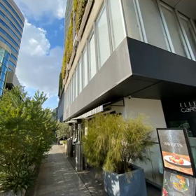 Shima散歩Tokyo ver.4渋谷原宿表参道一周散歩の画像