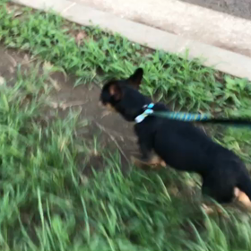 ♪お散歩動画♪代々木公園♪の画像