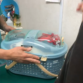 テン退院の画像