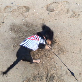 御島グリーンベイウォークの画像