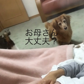 今朝は治ってる。牽引。ジム。昨夜の心配してくれている2人字幕付き動画の画像