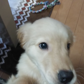 芸を披露します(^-^)/の画像