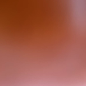 その後とウグイスの画像