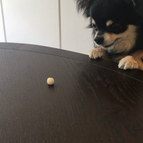 おやつの時間♡の画像