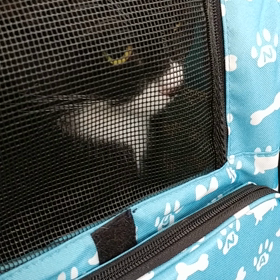 音量大注意です‼️の画像