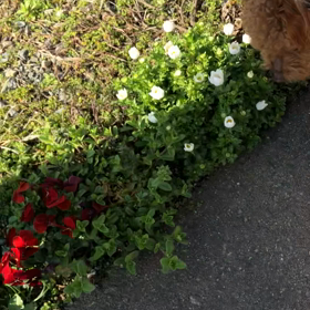 晴れ間を狙いの画像