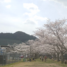 船明ダムの画像