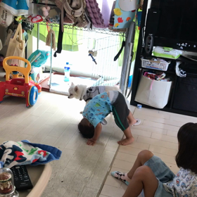 学校公開でしたの画像