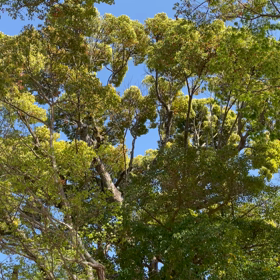 ☆ごめんなさい☆の画像