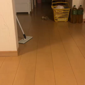 かくれんぼの画像