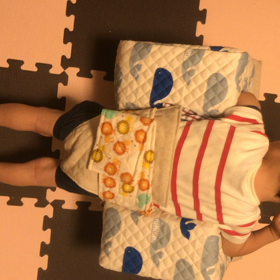 ハイハイカーのその後の画像