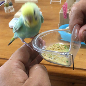 ありがとうございました今日は、らむねに癒されますの画像