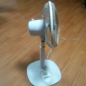 動画を２点ほどの画像