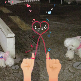 お散歩行って来ましたの画像