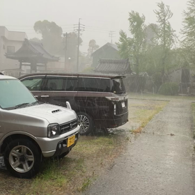 コロナと雹との画像