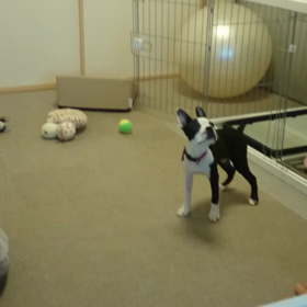 よーく出来ましたっ(^^)の画像