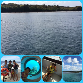 イルカウォッチングの画像